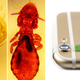 Image for article titled Stick-On Lenses Turn Your Phone Camera Into a Microscope
